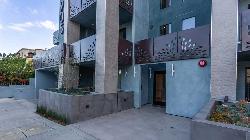 905-wilcox-37831