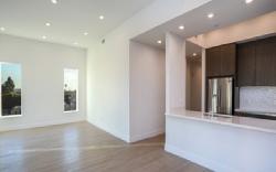 909-s-le-doux-41755