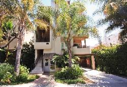 924-n-palm-13761