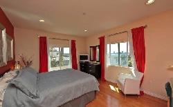 924-n-palm-13766