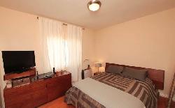 924-n-palm-13768