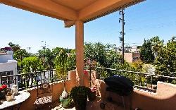 924-n-palm-13769