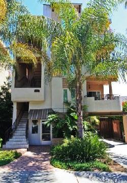 924-n-palm-13771