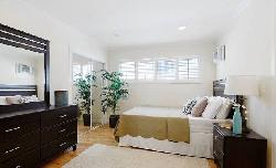 938-palm-21761