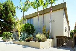 938-palm-21763
