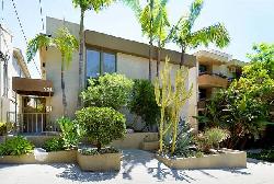 938-palm-21767