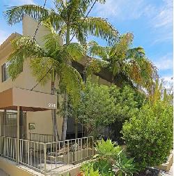 938-palm-21768