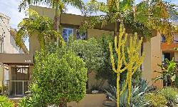 938-palm-21769