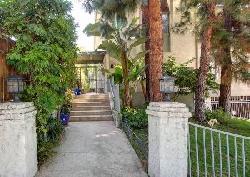 944-palm-30526
