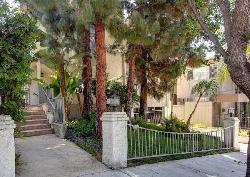 944-palm-30527