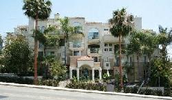 960-n-doheny-11180