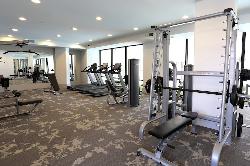 accent-playa-vista-33179