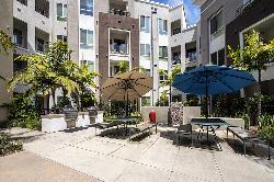 accent-playa-vista-33188