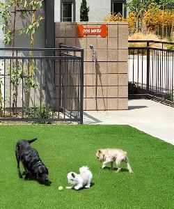 accent-playa-vista-33191