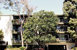 Coral Tree Condominiums