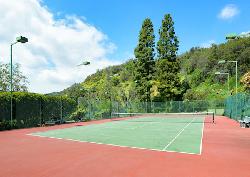 Palisades Tennis Estates
