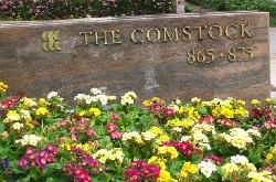 Comstock, The