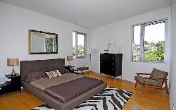 allesandro-palms-26497