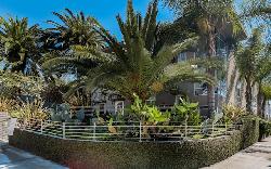 allesandro-palms-26502