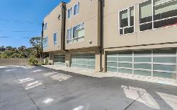 allesandro-palms-26503