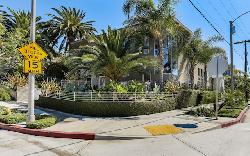 allesandro-palms-26504