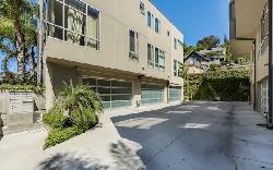 allesandro-palms-26505