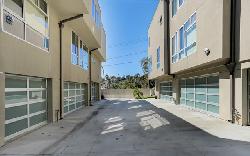 allesandro-palms-26506