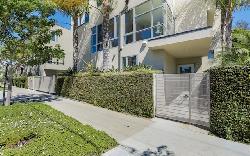 allesandro-palms-26507