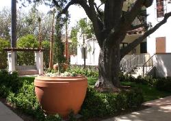 ambassador-gardens-the-grove-25042