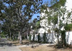 ambassador-gardens-the-grove-25049
