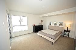 amherst-rochester-29849