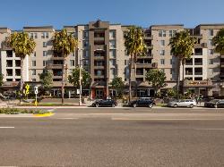 ao-santa-monica-24091