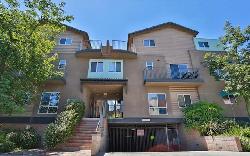 argento-townhomes-33500