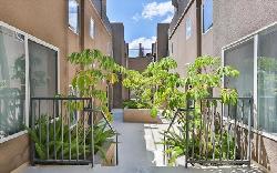 argento-townhomes-33501