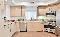 argento-townhomes-33511