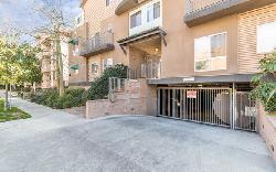 argento-townhomes-33512