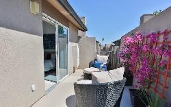 argento-townhomes-33513
