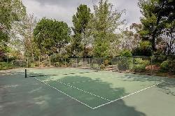 arroyo-woods-52392