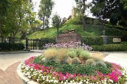 arroyo-woods-52394