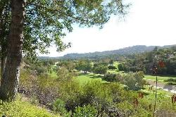 arroyo-woods-52398