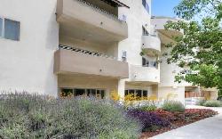 bakman-court-36678
