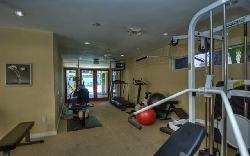 barrington-fields-8439