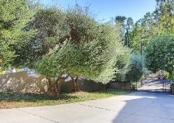 berkeley-hills-32364