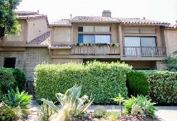 berkeley-townhouse-35922