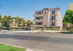 beverly-cashio-33752
