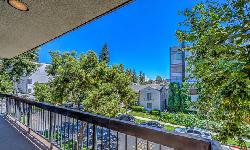 beverly-hills-pinnacle-18346