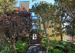 beverly-palm-15399