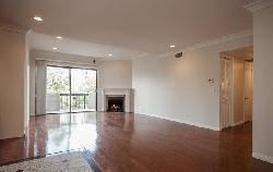 beverly-palm-west-23876