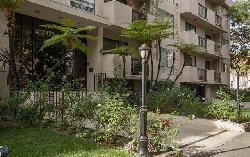 beverly-palm-west-23878