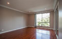 beverly-palm-west-23882